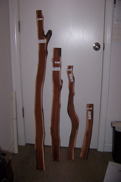 Manzanita